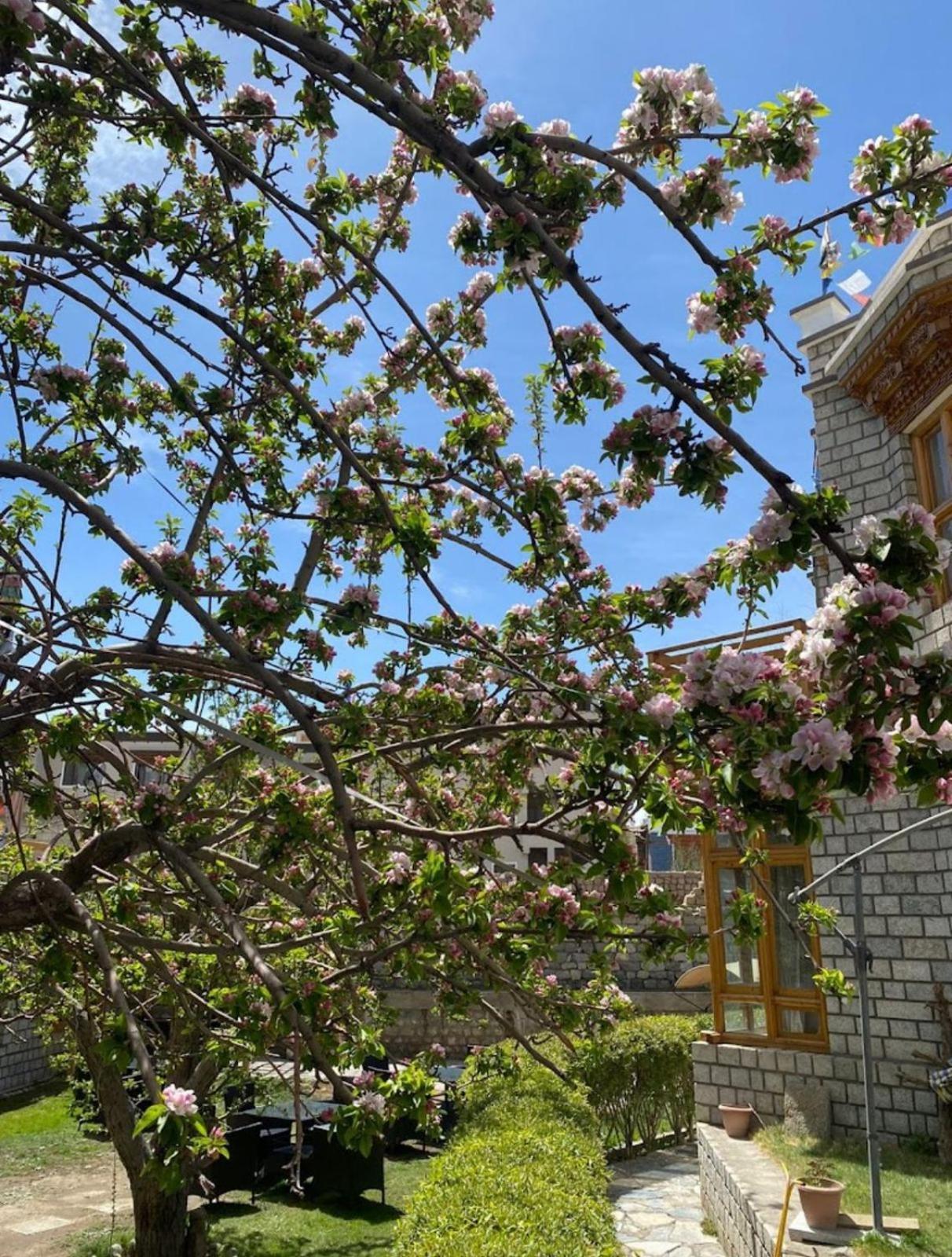 Hotel Lumbini Leh Dış mekan fotoğraf